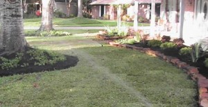 New Sprinkler System